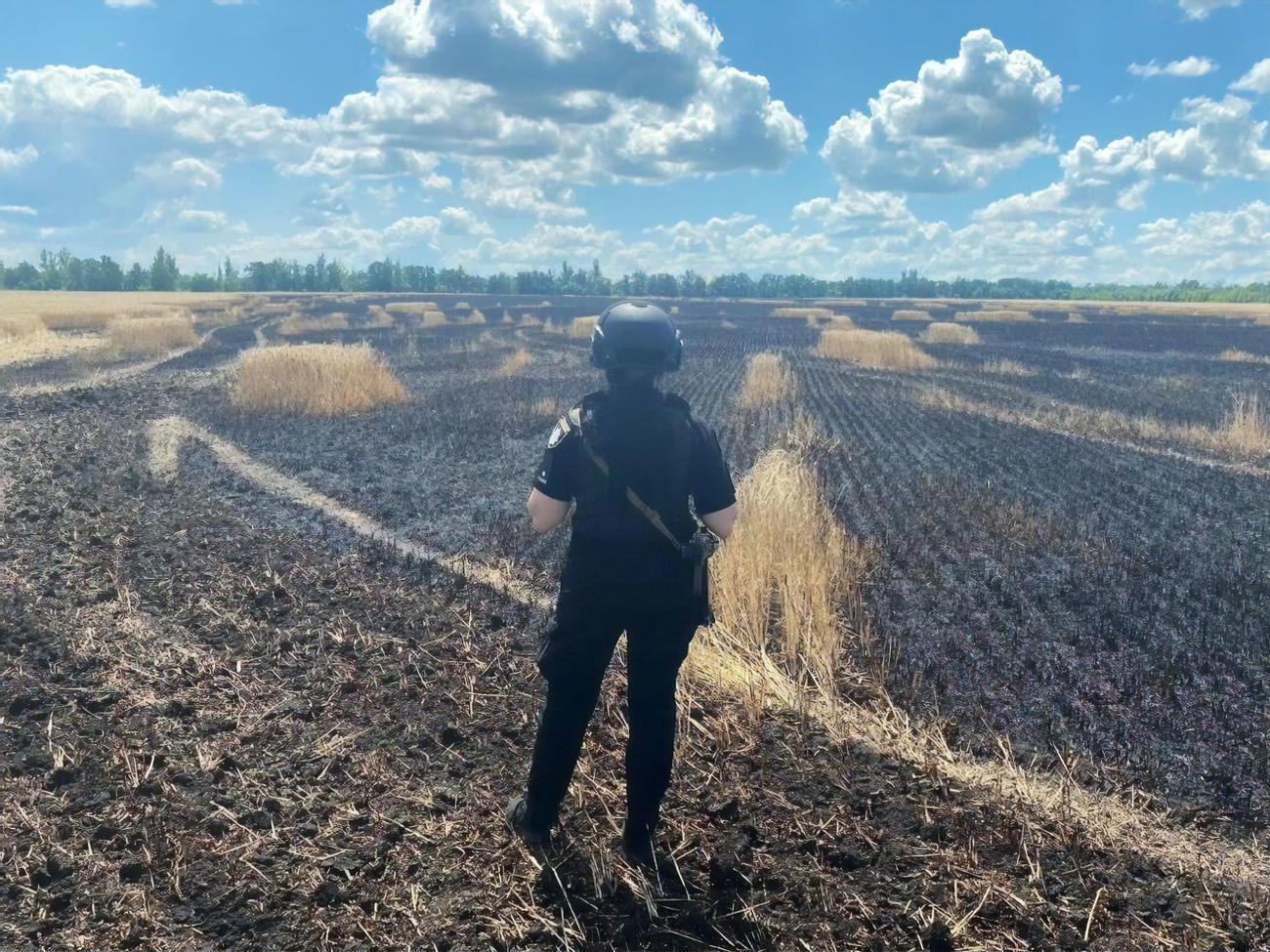 Оккупанты ежедневно бьют по Украине из разных видов вооружения. На фото&nbsp;&ndash; сгоревшее из-за обстрела поле пшеницы в Донецкой области