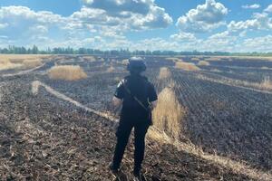 Окупанти щодня б'ють по Україні з різних видів озброєння. На світлині – поле пшениці в Донецькій області, яке згоріло через обстріл