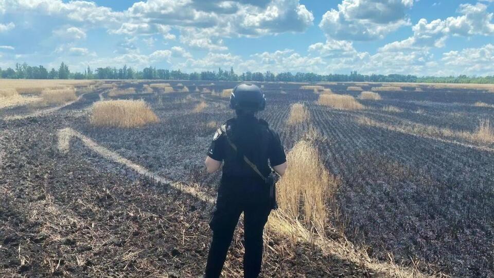 Оккупанты ежедневно бьют по Украине из разных видов вооружения. На фото – сгоревшее из-за обстрела поле пшеницы в Донецкой области