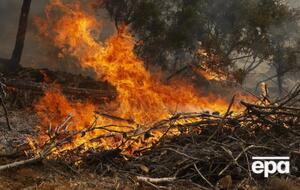 В нескольких регионах Украины – пожароопасная ситуация