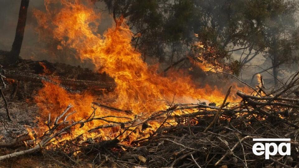 В нескольких регионах Украины – пожароопасная ситуация