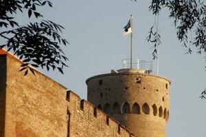 Зміни в Естонії набудуть чинності 1 серпня