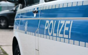 Тварину шукає 100 поліцейських