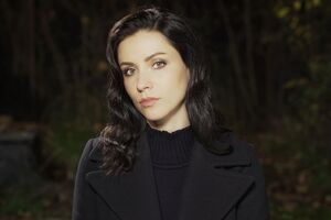 Пристайко фактически извинился за выпад Зеленского в адрес Уоллеса, и казалось, мы круто вышли из неудобной ситуации. Но в итоге опытный дипломат идет на выход