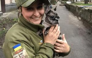 Башей вважає, що цивільні лікарі в Україні не знають військової медицини