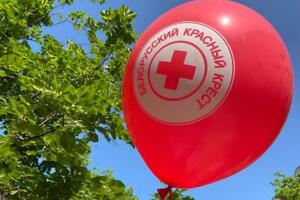 Костін назвав дії білоруського Червоного Хреста співучастю у скоєнні міжнародного злочину