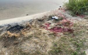 Оккупанты около 19.00 обстреляли водоем в Константиновке Донецкой области, отметили в ОВА