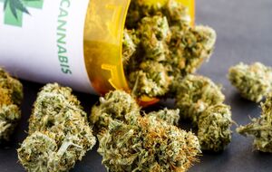 У липні Рада зробила крок до легалізації марихуани з медичною метою в Україні