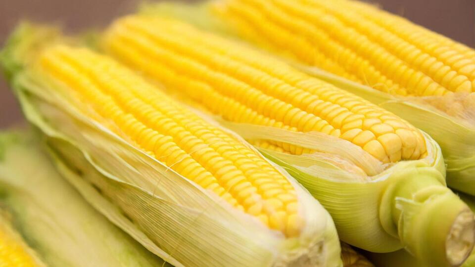 Кукуруза даже в сыром виде должна иметь приятный вкус