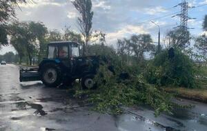 Куртев показал последствия грозы в городе