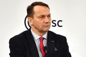 Сикорский: Мы максимум можем получить немного более дорогие бензин или электроэнергию