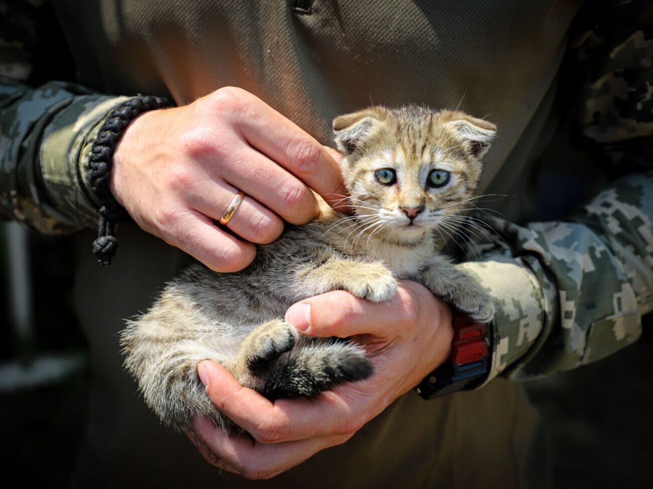 ВСУ уничтожили уже более 4200 артсистем противника