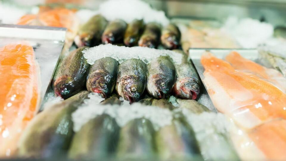 Медики попередили про небезпеку вживання риби та морепродуктів