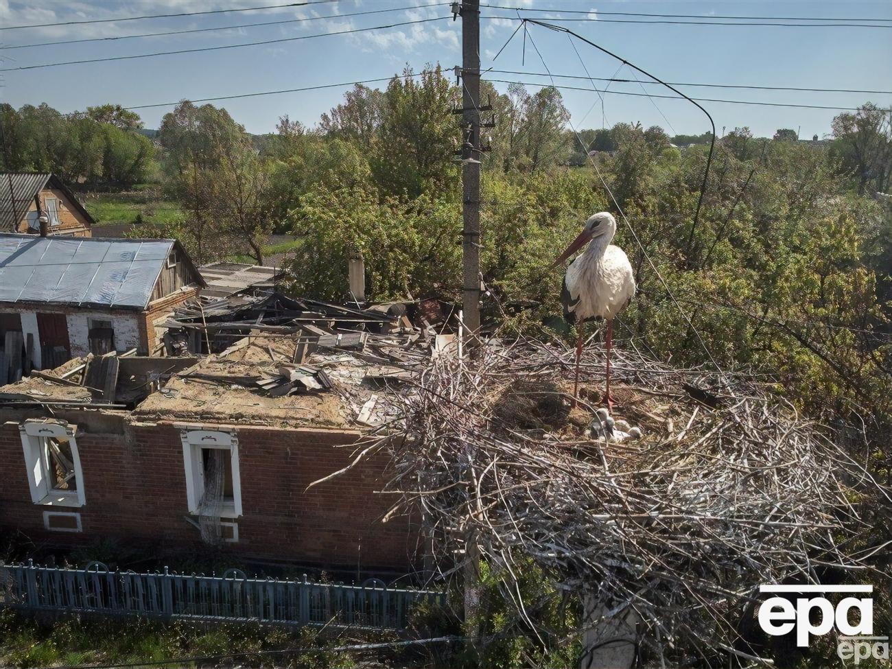 Из-за российских обстрелов пострадали люди
