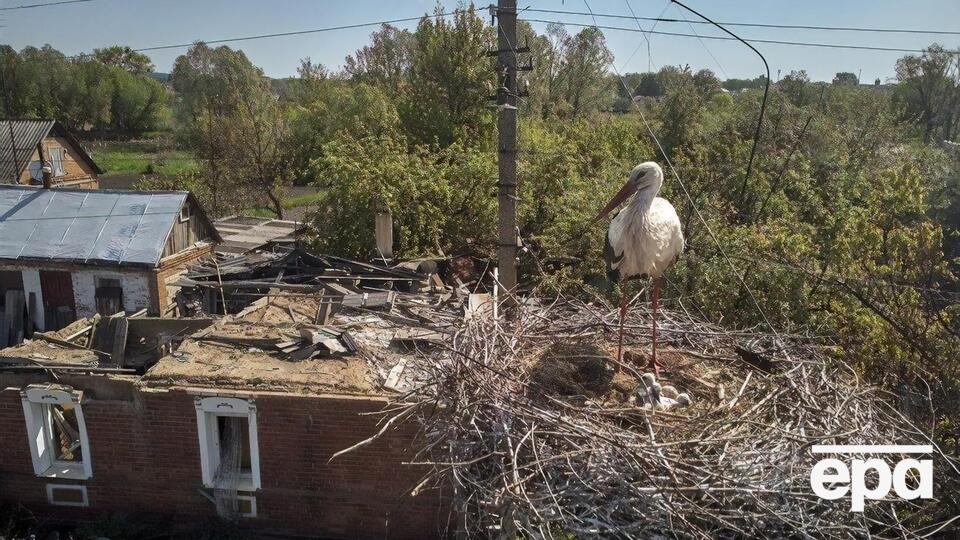 Из-за российских обстрелов пострадали люди