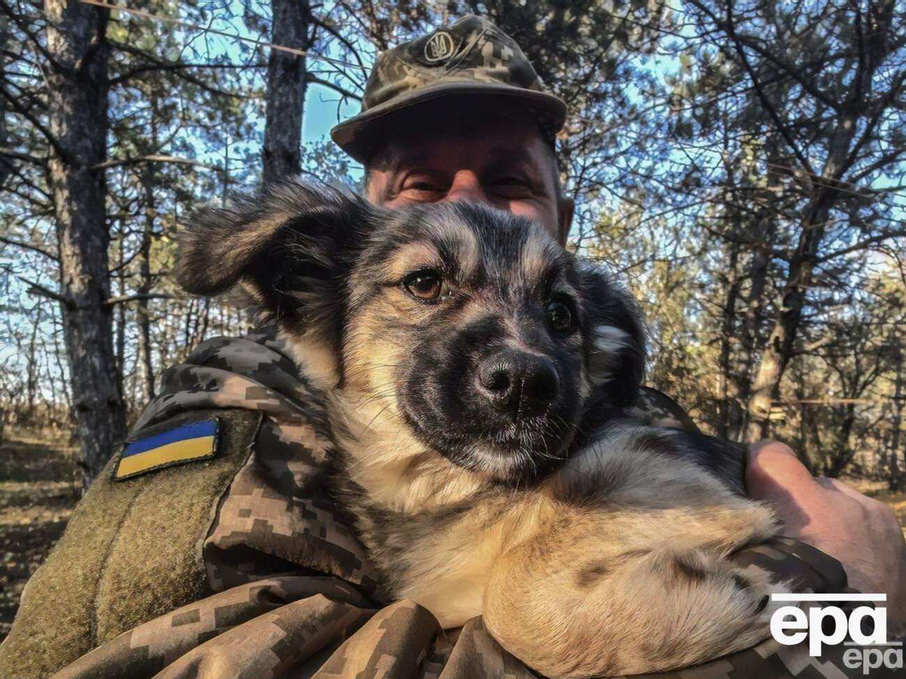 Украинские военные стараются защитить каждую жизнь, даже если эта жизнь хвостатая и с усами, отмечают зоозащитники
