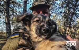 Украинские военные стараются защитить каждую жизнь, даже если эта жизнь хвостатая и с усами, отмечают зоозащитники