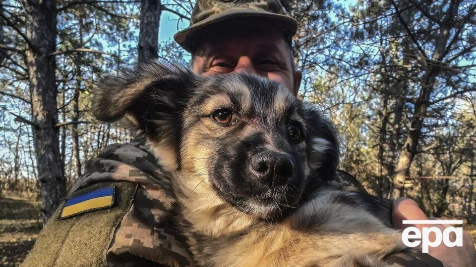 Украинские военные стараются защитить каждую жизнь, даже если эта жизнь хвостатая и с усами, отмечают зоозащитники