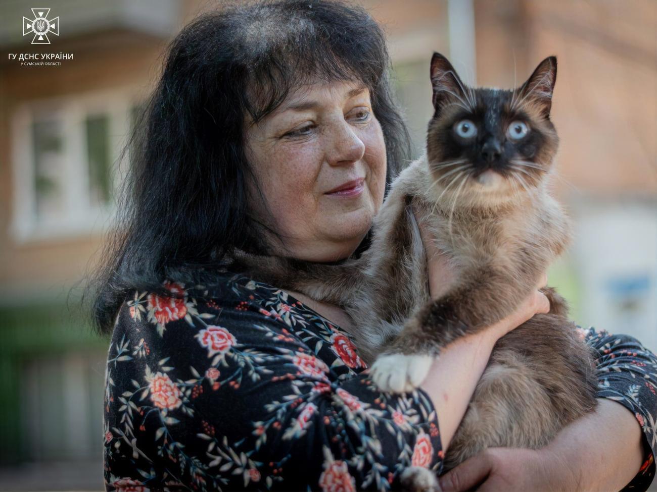 Кота передали владельцам