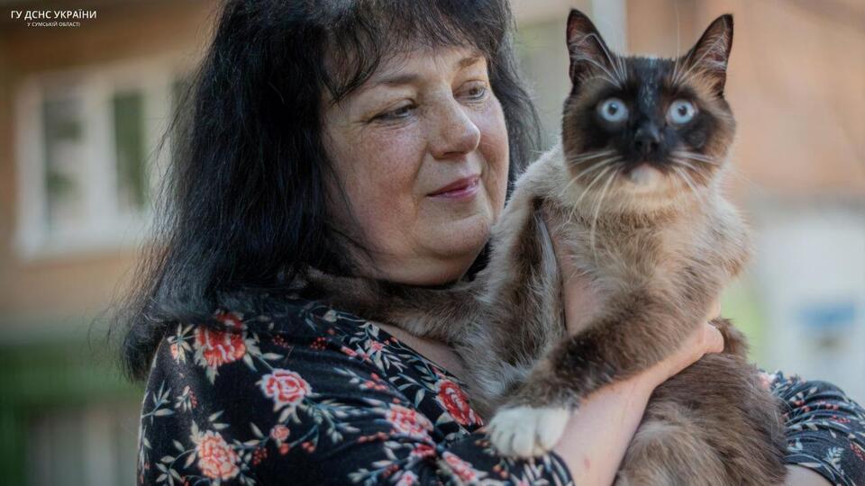 Кота передали власникам