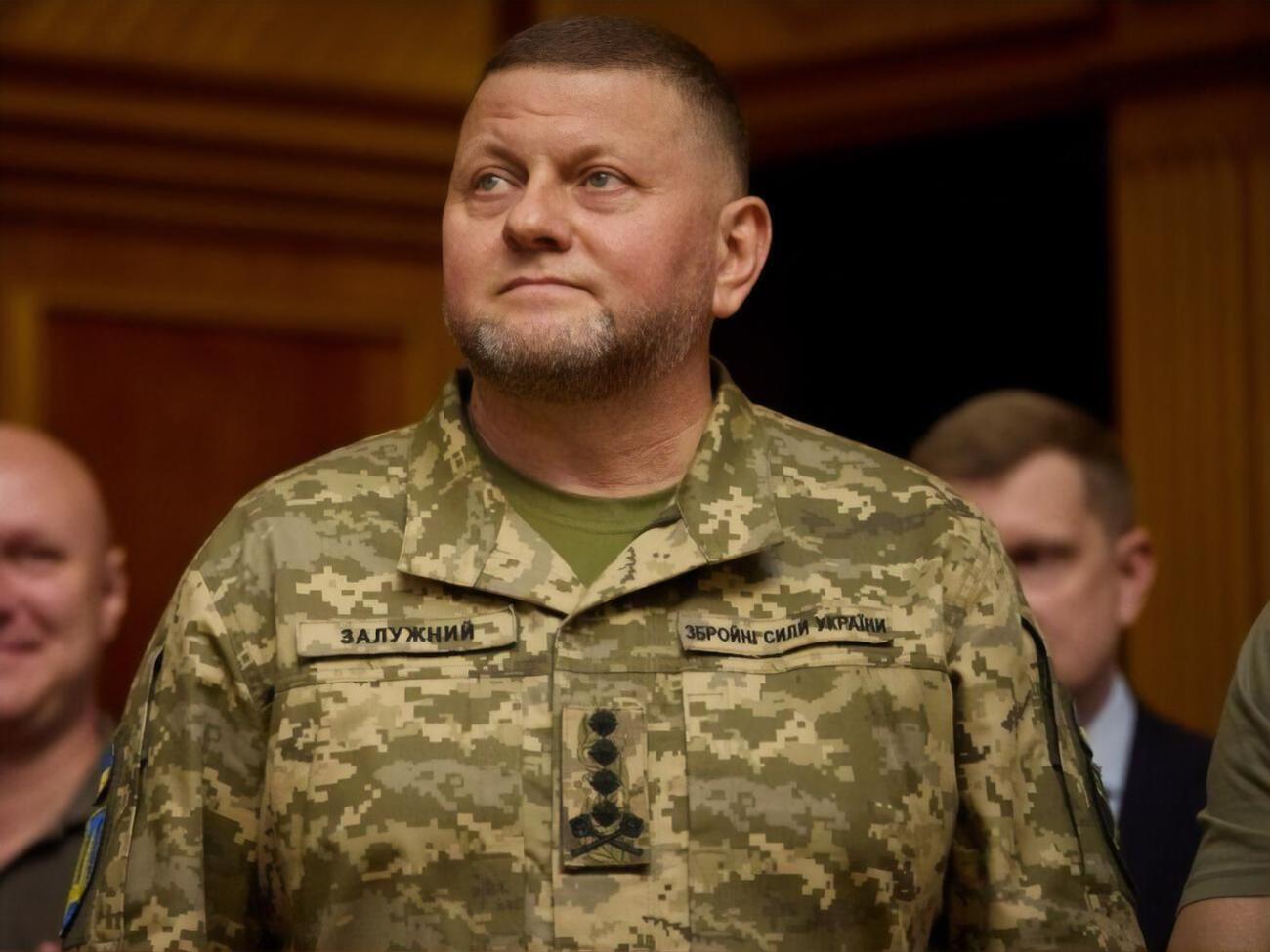 Ситуація у війні РФ проти України розвивається "згідно з планом", зазначив Залужний