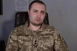 У кабінеті Буданова, крім жаб, живуть кіт і канарки