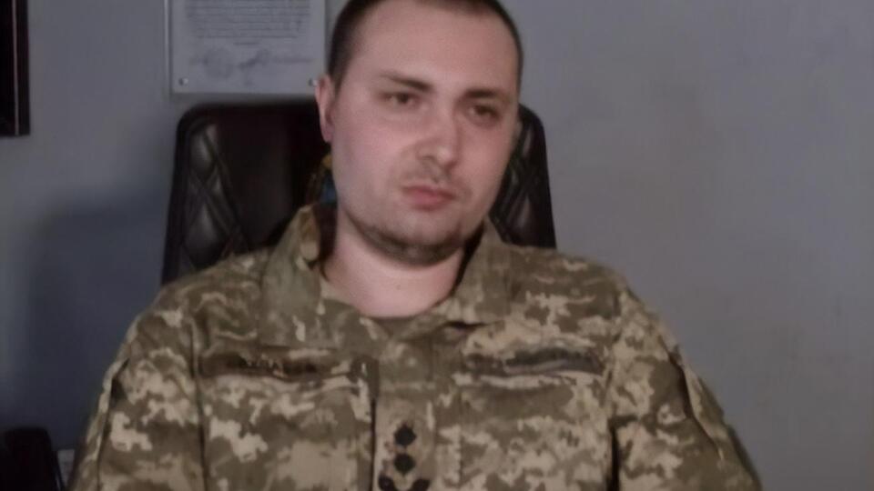 В кабинете Буданова кроме лягушек живет кот и канарейки