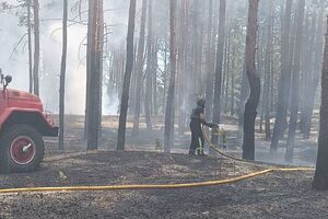 7 липня через обстріл РФ горіло 3 га лісу в Куп'янському районі