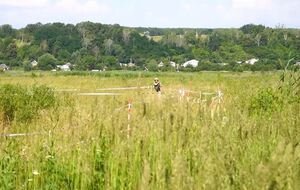 Від початку бойових дій піротехніки виявили та знешкодили 75 027 вибухонебезпечних предметів у Харківській області, зазначили у ДСНС