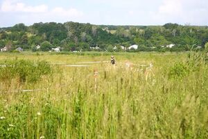 Від початку бойових дій піротехніки виявили та знешкодили 75 027 вибухонебезпечних предметів у Харківській області, зазначили у ДСНС