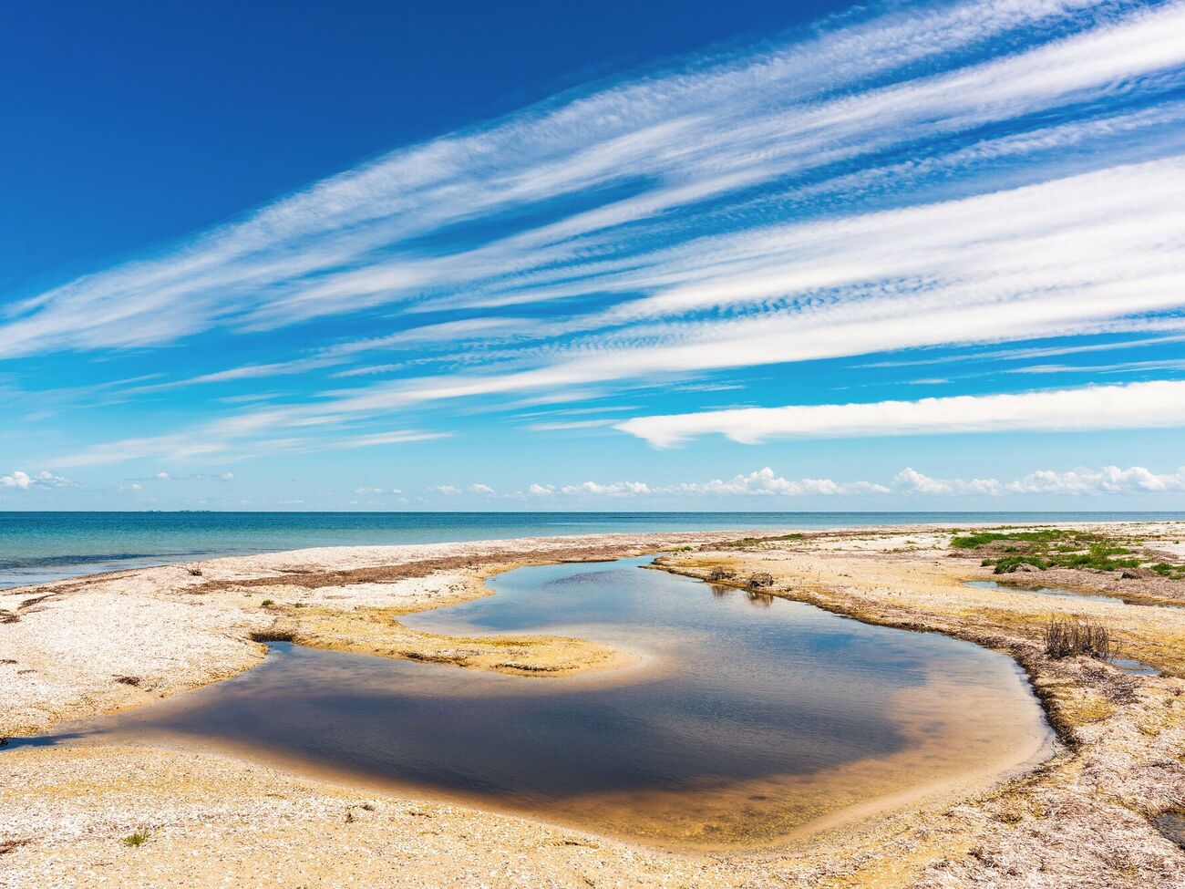 На восстановление заповедных участков нужны десятки лет, заявила директор природного парка "Джарылгачский"