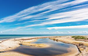 На восстановление заповедных участков нужны десятки лет, заявила директор природного парка "Джарылгачский"