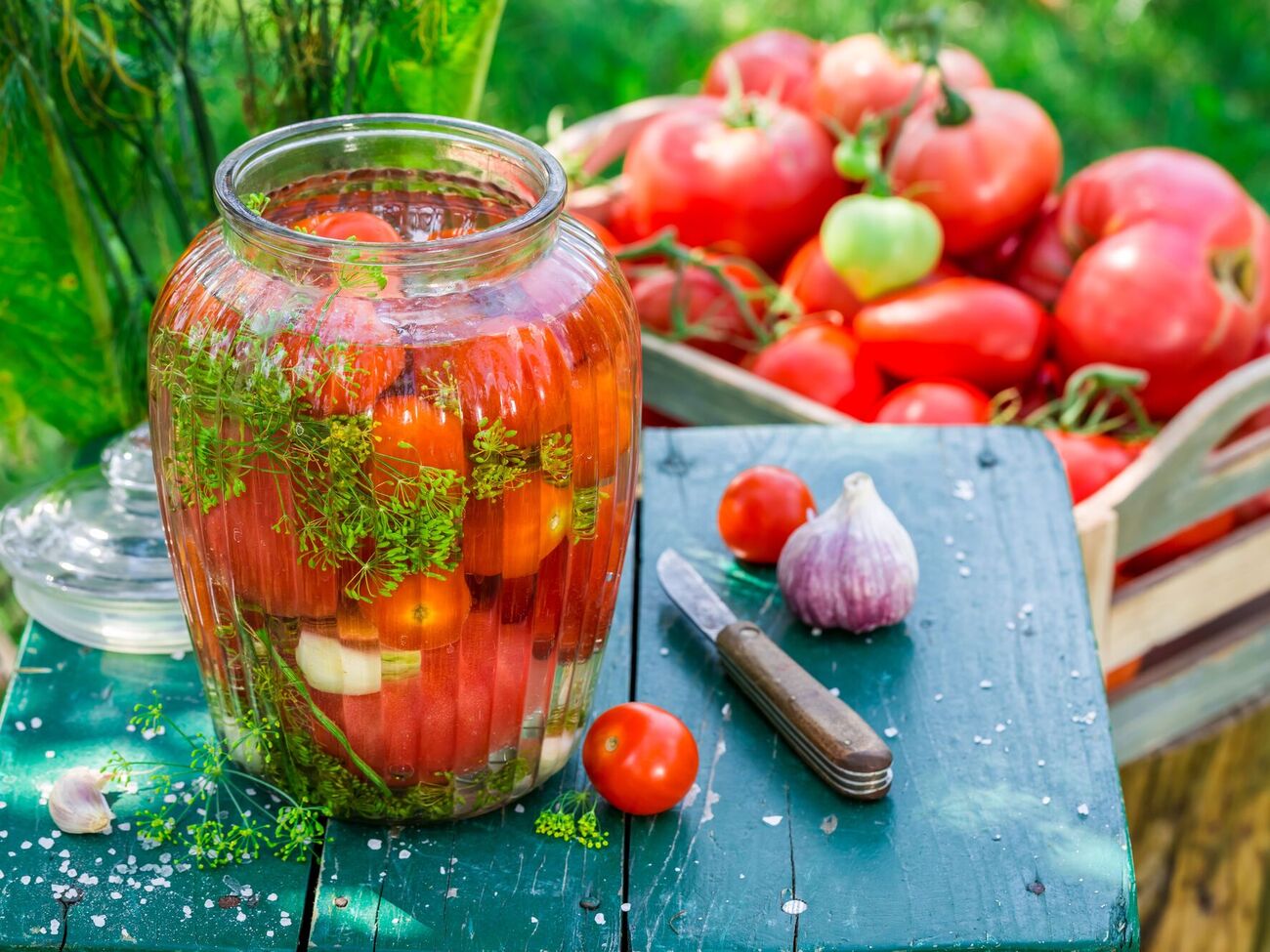 Для засолки подойдут тугие помидоры небольшого размера