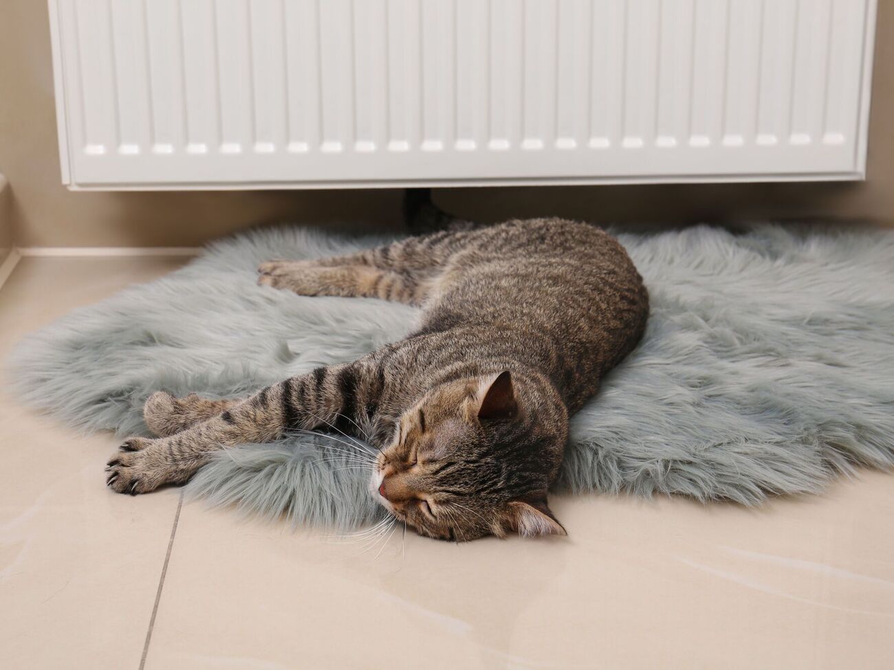 Украина формирует многоуровневую защиту для энергетических объектов