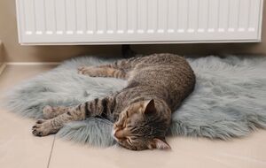 Украина формирует многоуровневую защиту для энергетических объектов