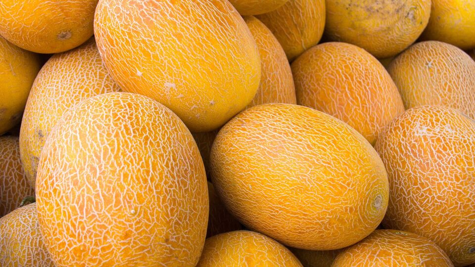 Качество дыни можно определить по внешнему виду