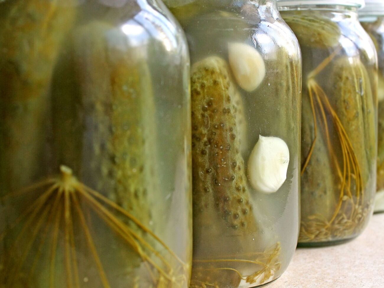 Огірки будуть готові за два місяці