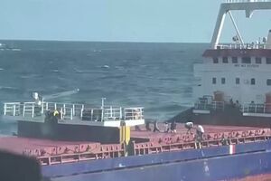 13 августа в минобороны РФ заявили, что российский патрульный корабль "Василий Быков" требовал остановки судна Şükrü Okan