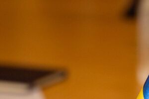 Шмигаль і Чолаку провели переговори в Бухаресті