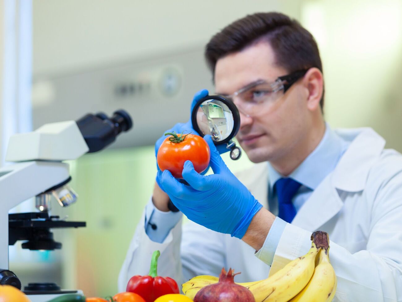 Закон усовершенствует систему оценки рисков ГМО и поможет решить некоторые проблемы в сельском хозяйстве, заявляют в Раде