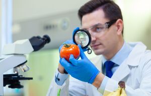 Закон усовершенствует систему оценки рисков ГМО и поможет решить некоторые проблемы в сельском хозяйстве, заявляют в Раде