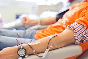 Клочко: С каждым днем вижу, что молодых врачей становится меньше