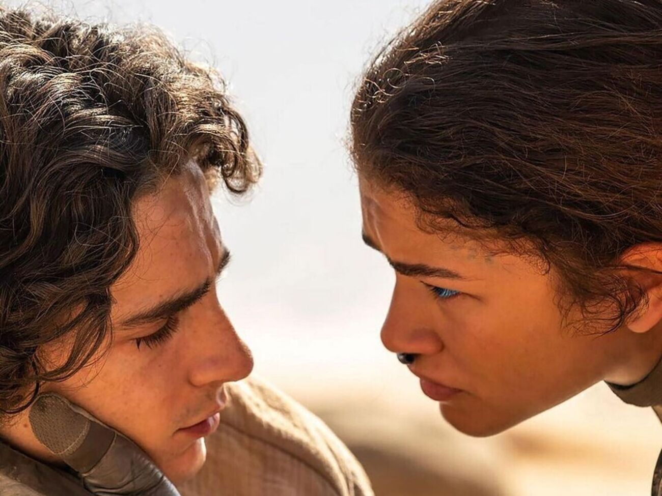 Если забастовка продлится до ноября, Шаломе и Зендая не смогут продвигать фильм