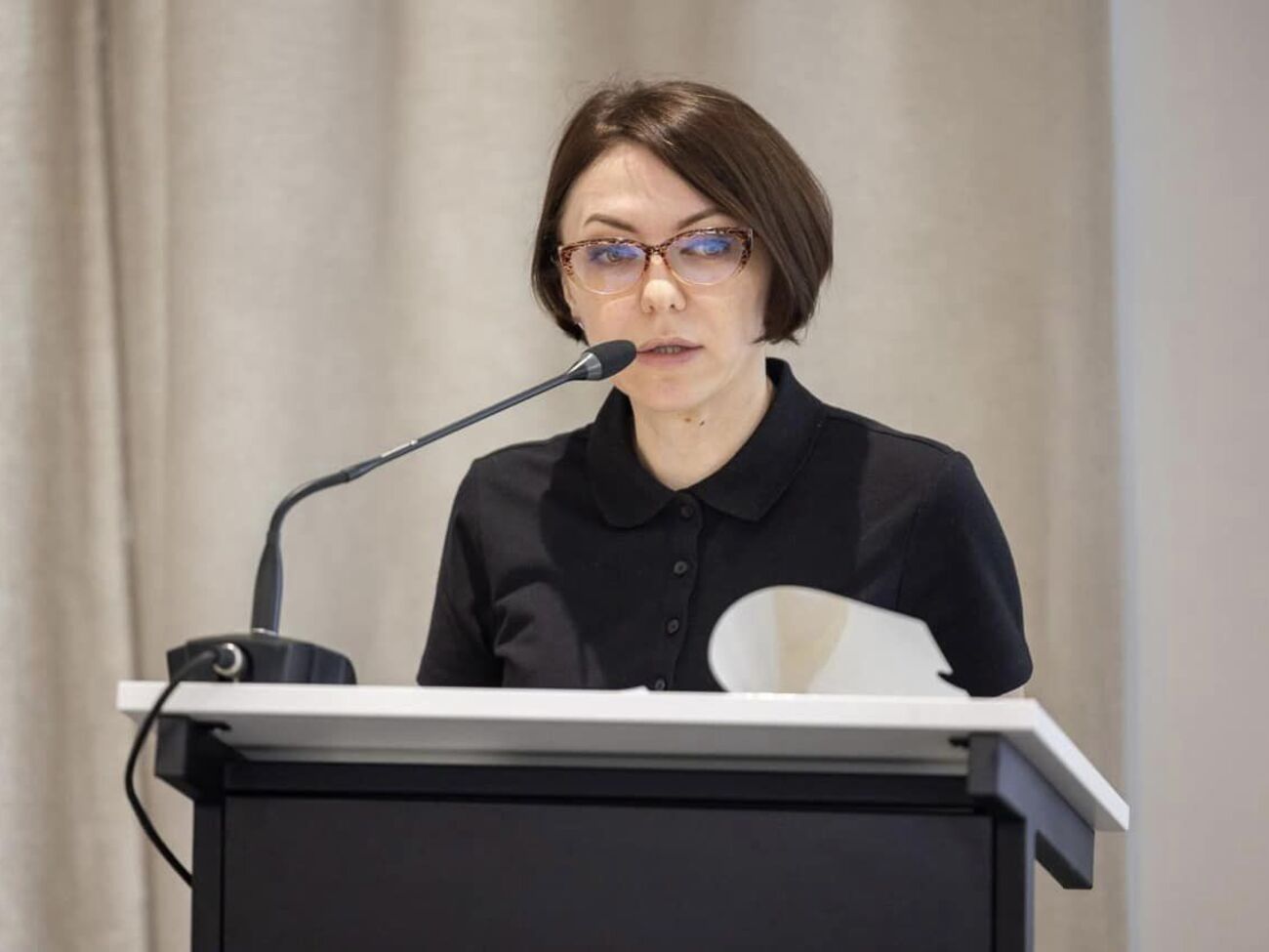 Маляр навела перелік документів, яких стосується рішення Кабміну