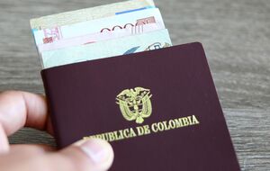 Небинарные граждане в своих паспортах будут иметь отметку Х
