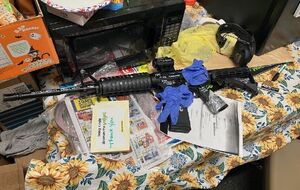 Женщина была убита 11 выстрелами из винтовки через лобовое стекло машины