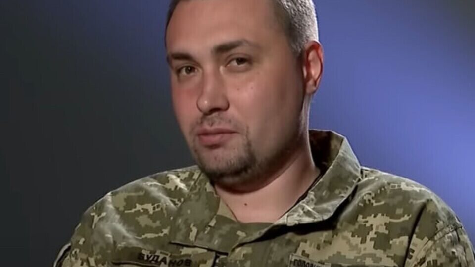 У кабінеті Буданова, крім канарок, живуть дві 16-річні жаби і кіт на прізвисько Гюнтер