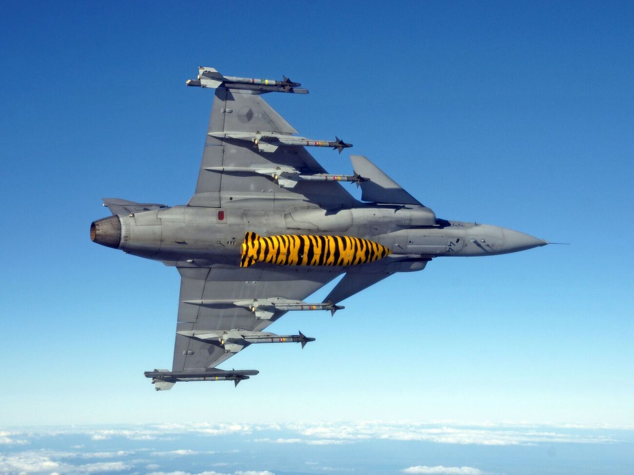 Gripen – очень хорошая машина, отметил Жовква