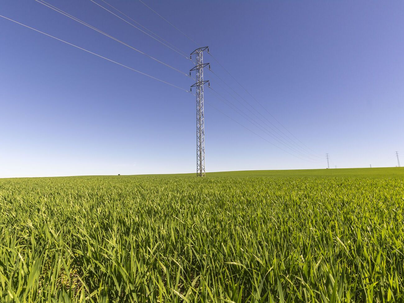 Аналітик звернув увагу, що "Укренерго" винна іншим учасникам ринку 50 млрд грн, тоді як сама компанія недоотримала з ринку 59 млрд грн