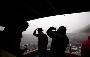 Сотни человек наблюдали за поисками лох-несского чудовища